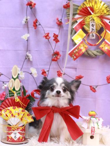 20230125マイアちゃん